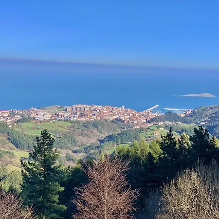 Itsasargi Etxea Apartamento En Planta Baja Διαμέρισμα Μπερμέο